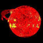 sol.jpg (6241 bytes)